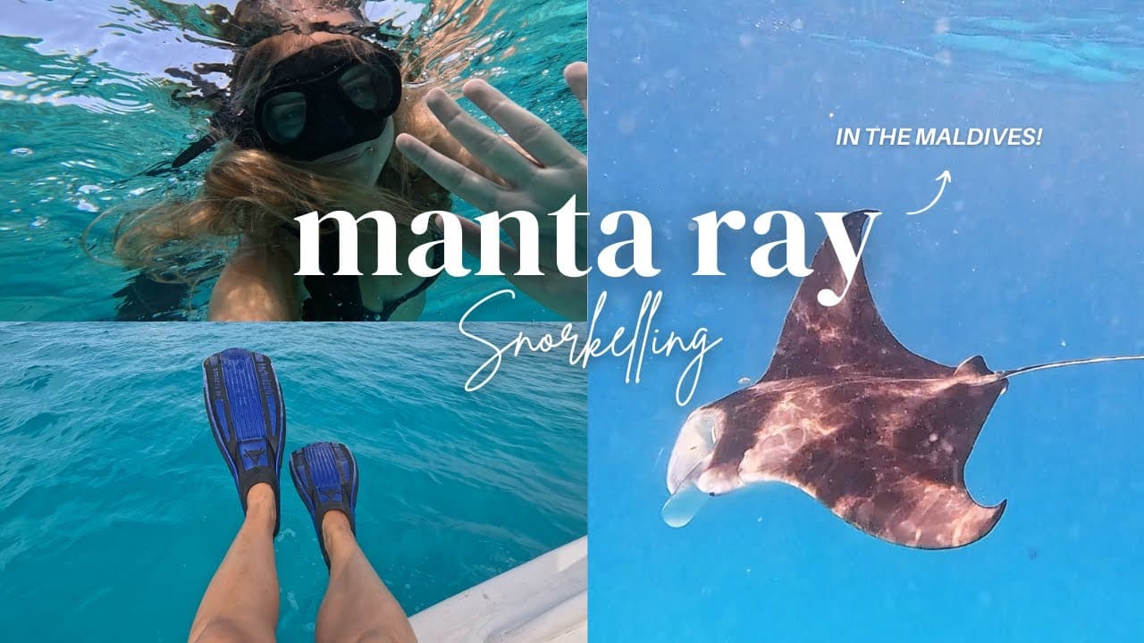 SNORKELLING WITH MANTA RAYS | Dhigurah Island